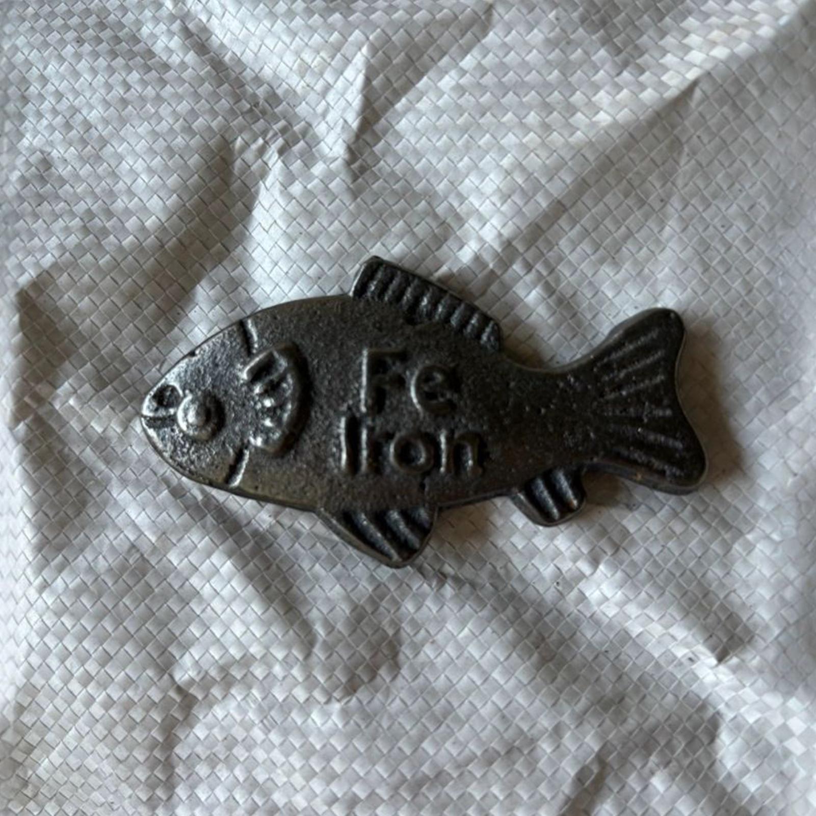Cast Iron Cooking Fish Helping - Home Cooking Help avaliação e preço