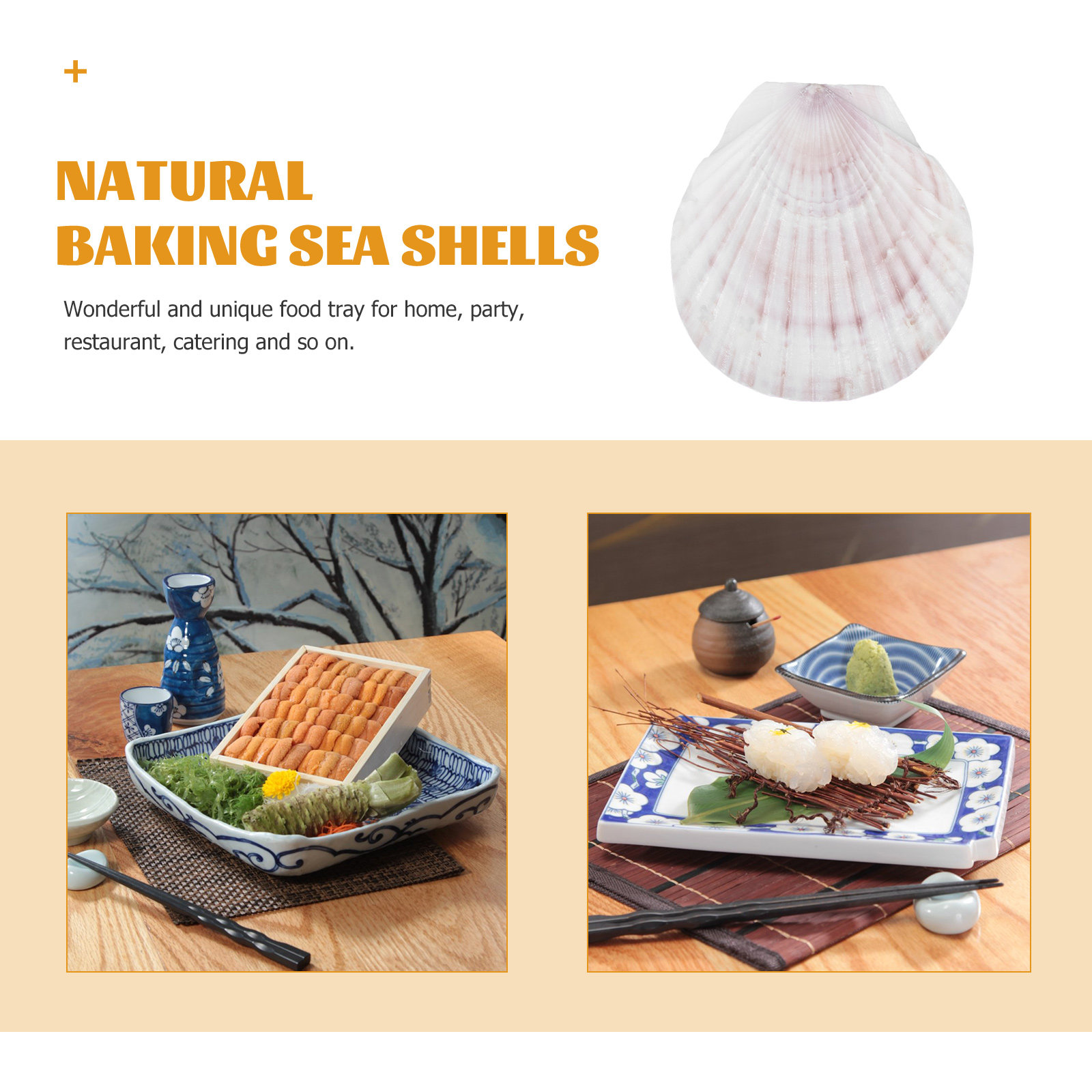 10Pcs Natural Scallop Shells F - Mom'S Home Cooking avaliação e preço