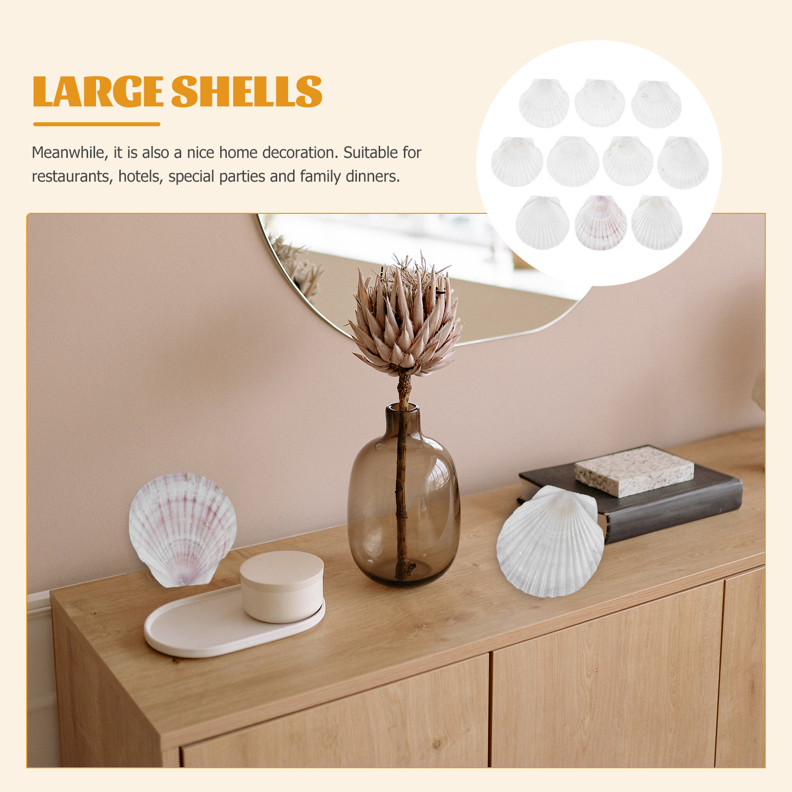 10Pcs Natural Scallop Shells F - Mom'S Home Cooking avaliação e preço